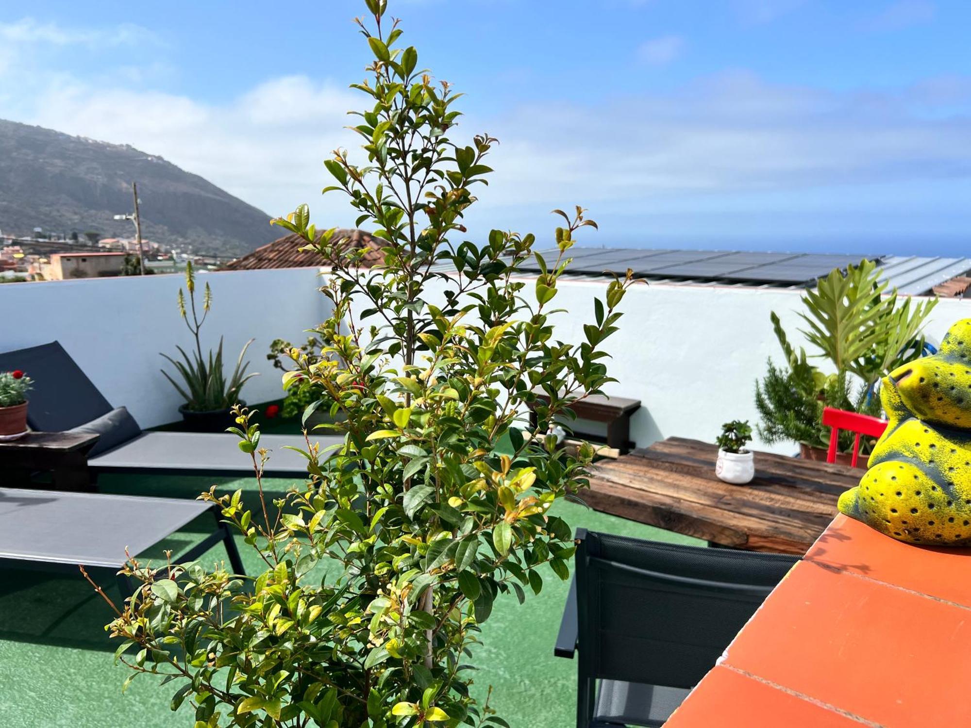 The Little Brezo Stone Home Tenerife Лос Реалехос Екстериор снимка